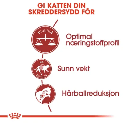 Royal Canin Regular Fit
