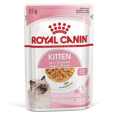 Royal Canin Kitten em gelatina Royal Canin Kitten em gelatina