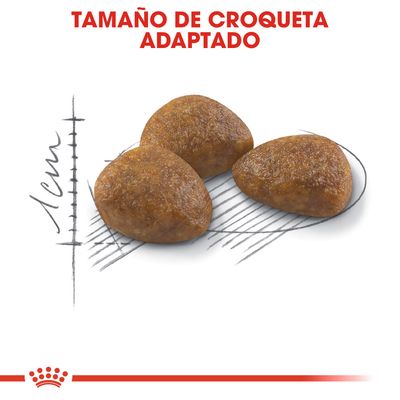 Tres croquetas triangulares sobre fondo con escala de 1 cm y texto: TAMAÑO DE CROQUETA ADAPTADO.