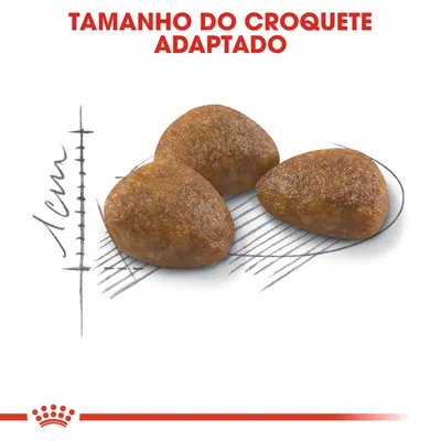 Três croquetes de ração com formato triangular sobre fundo desenhado, texto visível: 'TAMANHO DO CROQUETE ADAPTADO', escala mostra cerca de 1 cm.