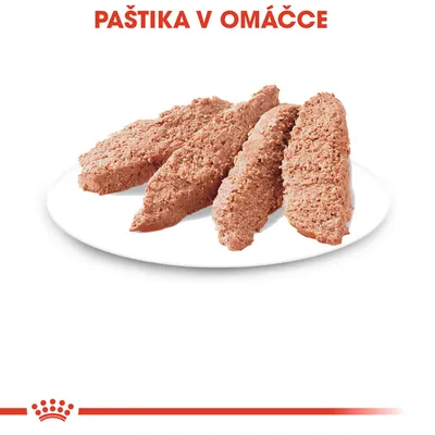 Paštika v omáčce – čtyři porce paštiky na bílém talíři, nadpis Paštika v omáčce červeně nahoře
