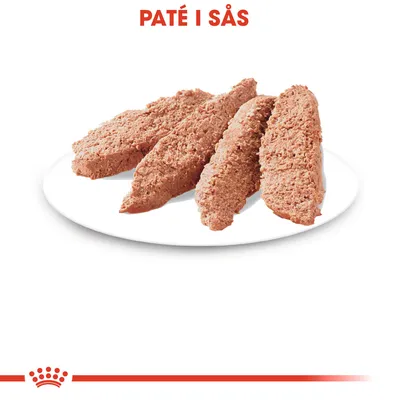 Fyra skivor paté på vit tallrik. Texten 'PATÉ I SÅS' syns överst i bilden.