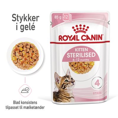 Royal Canin FHN Kitten Sterilised i gelé 12 x 85 g