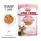 Royal Canin FHN Kitten Sterilised i gelé 12 x 85 g