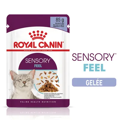 ROYAL CANIN SENSORY FEEL, 85 g, morceaux en gelée pour chats. Texte visible : SENSORY FEEL, GELÉE. Image d’un sachet avec un chat et des morceaux de nourriture.