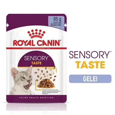 ROYAL CANIN Sensory Taste kattenvoer in gelei, 85 g. Tekst: SENSORY TASTE, GELEI. Afbeelding van kat en brokjes in gelei op de verpakking.