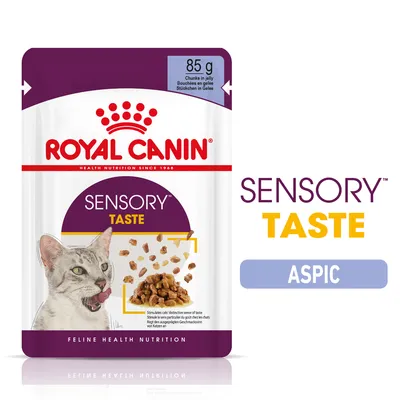 Royal Canin Sensory Taste în gelatină - Pachet economic: 24 x 85 g