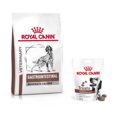 Royal Canin Veterinary Gastrointestinal Hundefutter, Verpackung mit Hundegrafik und braun-weissen Designelementen.