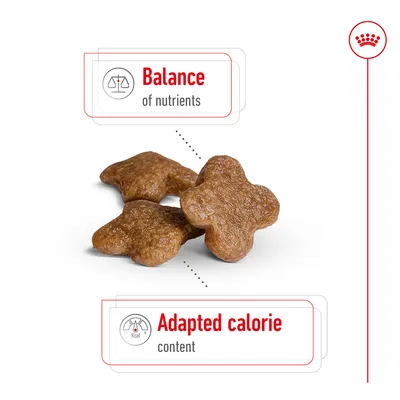 Tri smeđa keksića u obliku djeteline, tekst na engleskom: Balance of nutrients, Adapted calorie content.