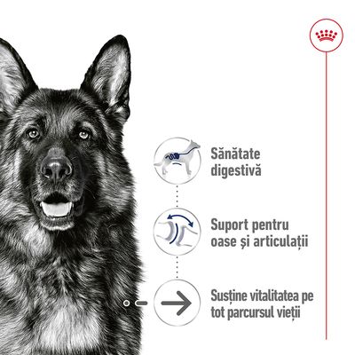 Sănătate digestivă, suport pentru oase și articulații, susține vitalitatea pe tot parcursul vieții – text vizibil lângă imaginea unui câine ciobănesc german.