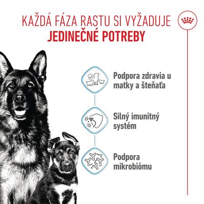 Royal Canin Maxi Starter Mother & Babydog