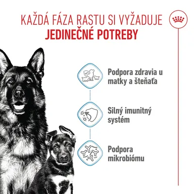 Royal Canin Maxi Starter Mother & Babydog - 15 kg 