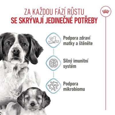 Grafika se psem a štěnětem, text v češtině: Podpora zdraví matky a štěněte, silný imunitní systém, podpora mikrobiomu.