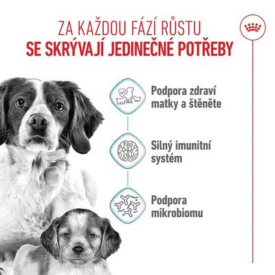 Grafika se psem a štěnětem, text v češtině: Podpora zdraví matky a štěněte, silný imunitní systém, podpora mikrobiomu. Grafika se psem a štěnětem, text v češtině: Podpora zdraví matky a štěněte, silný imunitní systém, podpora mikrobiomu.