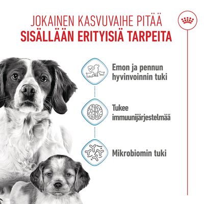 Royal Canin Medium Starter Mother & Babydog