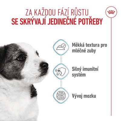 Grafika s textem: Měkká textura pro mléčné zuby, Silný imunitní systém, Vývoj mozku. Zobrazené štěně psa.