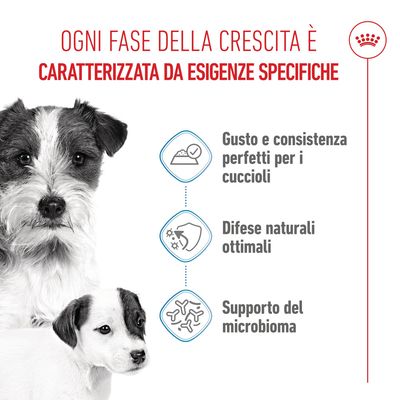 Royal Canin Starter Mousse Mother & Babydog