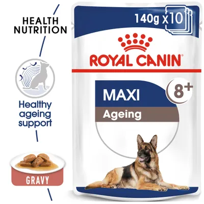 Συσκευασία Royal Canin Maxi Ageing 8+, 140g x10, με εικόνα Γερμανικού Ποιμενικού, κείμενο Healthy ageing support, Health Nutrition και Gravy. Ορατό φακελάκι τροφής σκύλου. Συσκευασία Royal Canin Maxi Ageing 8+, 140g x10, με εικόνα Γερμανικού Ποιμενικού, κείμενο Healthy ageing support, Health Nutrition και Gravy. Ορατό φακελάκι τροφής σκύλου.