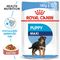 Royal Canin Maxi Puppy kastikkeessa 40 x 140 g
