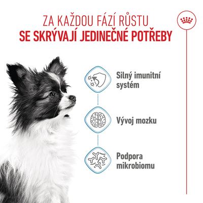 Grafika se psem a symboly: Silný imunitní systém, vývoj mozku, podpora mikrobiomu. Text v češtině o speciálních potřebách v každé fázi růstu.