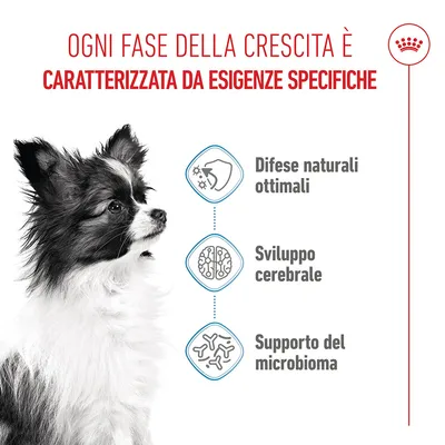 Royal Canin X-Small Puppy - 3 kg