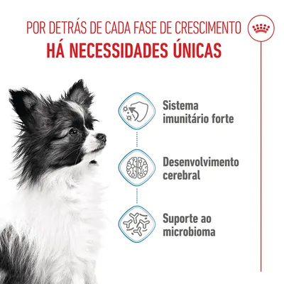 Royal Canin X-Small Puppy - 3 kg