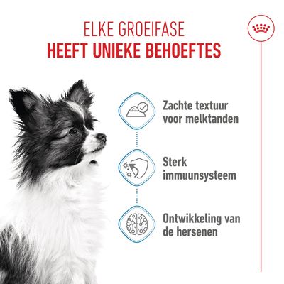 Royal Canin X-Small Puppy in Saus