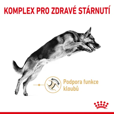 Komplex pro zdravé stárnutí. Podpora funkce kloubů. Obrázek psa ve skoku a grafický symbol kloubu.