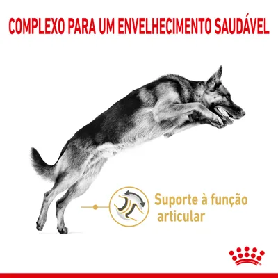 COMPLEXO PARA UM ENVELHECIMENTO SAUDÁVEL. Suporte à função articular.