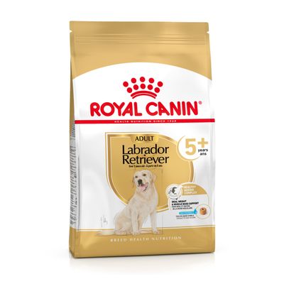 Royal Canin Adult Labrador Retriever 5+ ani, imagine cu un labrador pe ambalaj. Text vizibil: Healthy Ageing Complex, Ideal Weight & Muscle Mass Support.