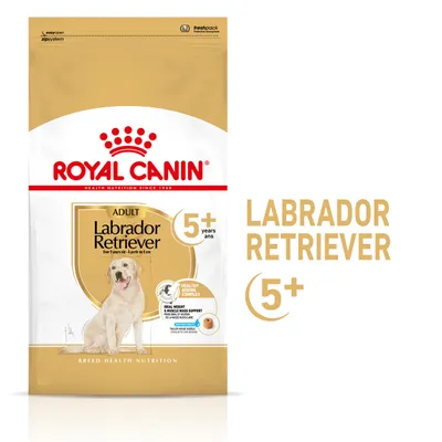 Royal Canin Adult Labrador Retriever 5+ years dry food, healthy ageing complex, ideal weight and muscle mass support. Text: Labrador Retriever 5+.