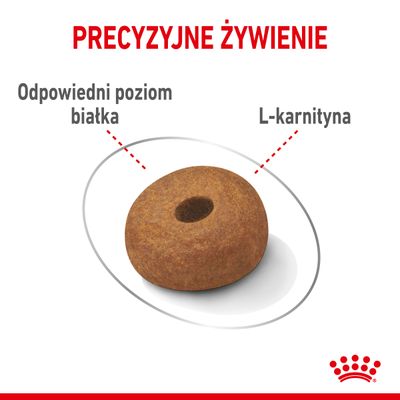 Precyzyjne żywienie. Odpowiedni poziom białka, L-karnityna – widoczne na zdjęciu granulki karmy z opisem składników.
