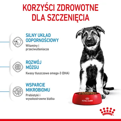 Korzyści zdrowotne dla szczenięcia: silny układ odpornościowy – witaminy i przeciwutleniacze, rozwój mózgu – kwasy tłuszczowe omega-3 (DHA), wsparcie mikrobiomu – prebiotyki i wysokostrawne białka.