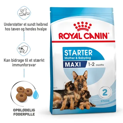 Royal Canin Starter Mother & Babydog Maxi 1–2 months. Understøtter et sundt helbred hos tæven og hendes hvalpe. Kan bidrage til et stærkt immunforsvar. Oplødelig foderpille. Royal Canin Starter Mother & Babydog Maxi 1–2 months. Understøtter et sundt helbred hos tæven og hendes hvalpe. Kan bidrage til et stærkt immunforsvar. Oplødelig foderpille.
