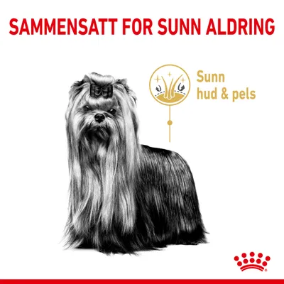  Royal Canin Yorkshire Terrier Adult 8+