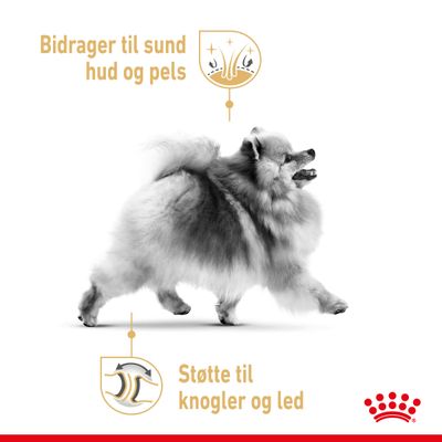 Bidrager til sund hud og pels. Støtte til knogler og led. Billede af hund med grafiske ikoner og tekst om produktfordele.