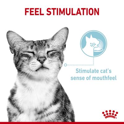 Feel stimulation. Stimulate cat's sense of mouthfeel.