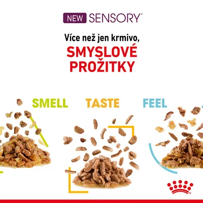 NEW SENSORY. Více než jen krmivo, SMYSLOVÉ PROŽITKY. SMELL, TASTE, FEEL. Tři hromádky krmiva s různými texturami a barvami, každá označená anglickým slovem.