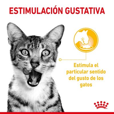Texto: ESTIMULACIÓN GUSTATIVA. Estimula el particular sentido del gusto de los gatos. Imagen de gato y gráfico amarillo con silueta de gato comiendo.