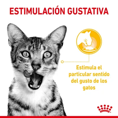 Texto: ESTIMULACIÓN GUSTATIVA. Estimula el particular sentido del gusto de los gatos. Imagen de gato y gráfico amarillo con silueta de gato comiendo.