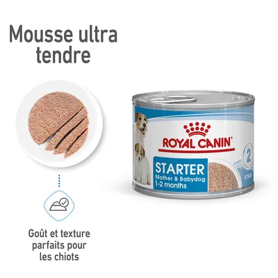 Boîte Royal Canin Starter Mother & Babydog 1–2 months, mousse ultra tendre. Goût et texture parfaits pour les chiots.