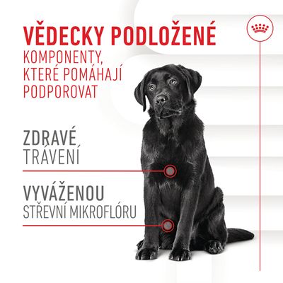 Vědecky podložené komponenty, které pomáhají podporovat zdravé trávení a vyváženou střevní mikroflóru. Černý pes sedící vpravo.