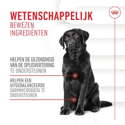 Wetenschappelijk bewezen ingrediënten. Helpen de gezondheid van de spijsvertering te ondersteunen. Helpen een uitgebalanceerde darmmicrobiota te ondersteunen.