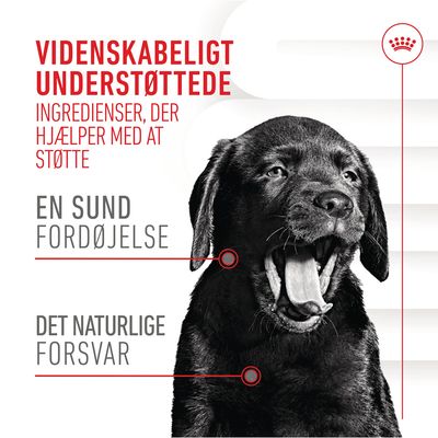 Videnskabeligt understøttede ingredienser, der hjælper med at støtte en sund fordøjelse og det naturlige forsvar. Sort hundehvalp med åben mund.
