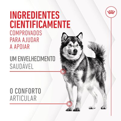 Ingredientes cientificamente comprovados para ajudar a apoiar um envelhecimento saudável e o conforto articular. Texto promocional com imagem de cão.