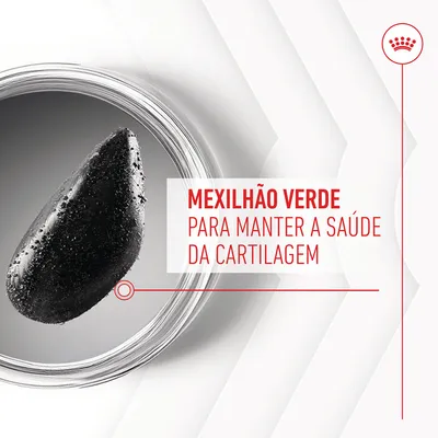 Mexilhão verde para manter a saúde da cartilagem. Texto visível em destaque ao lado de um mexilhão preto.