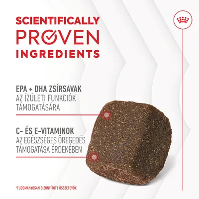 SCIENTIFICALLY PROVEN INGREDIENTS, EPA + DHA zsírsavak az ízületi funkciók támogatására, C- és E-vitaminok az egészséges öregedés támogatása érdekében. *Tudományosan bizonyított összetevők