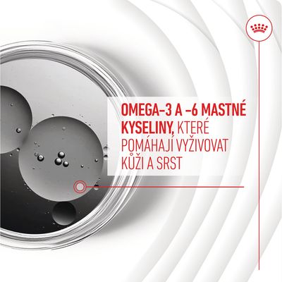 OMEGA-3 A -6 MASTNÉ KYSELINY, KTERÉ POMÁHAJÍ VYŽIVOVAT KŮŽI A SRST – text na obrázku s kapkami oleje v misce.