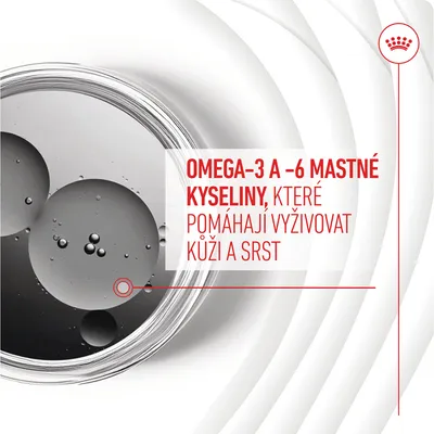 OMEGA-3 A -6 MASTNÉ KYSELINY, KTERÉ POMÁHAJÍ VYŽIVOVAT KŮŽI A SRST – text na obrázku s kapkami oleje v misce.
