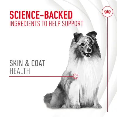 Science-backed ingredients to help support skin and coat health, with an image of a dog. Key benefit highlighted is skin and coat health.